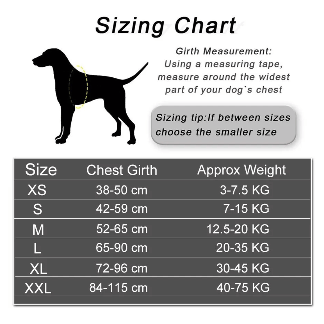 SafeWalk™ Personalized Anti-Choke Dog Harness